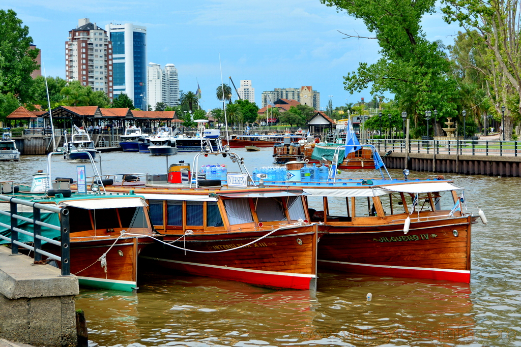 Delta del Tigre
