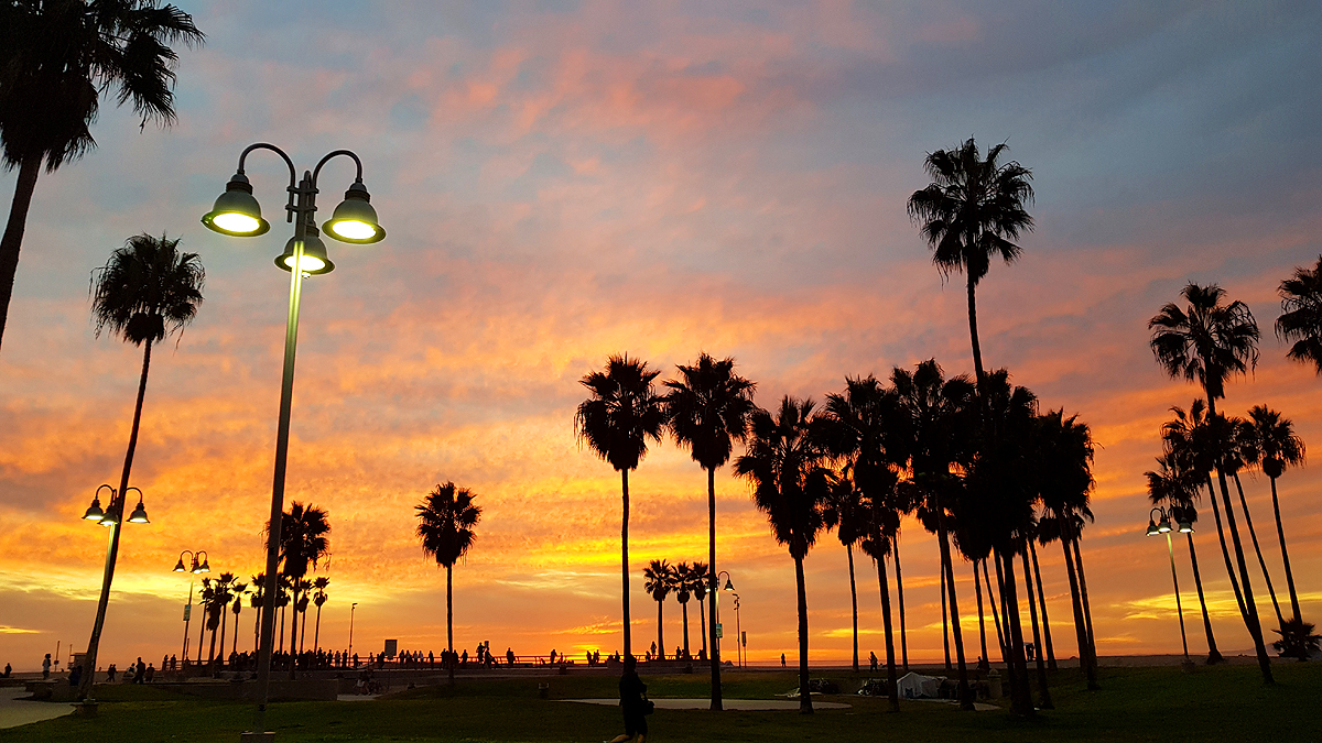 Venice Beach