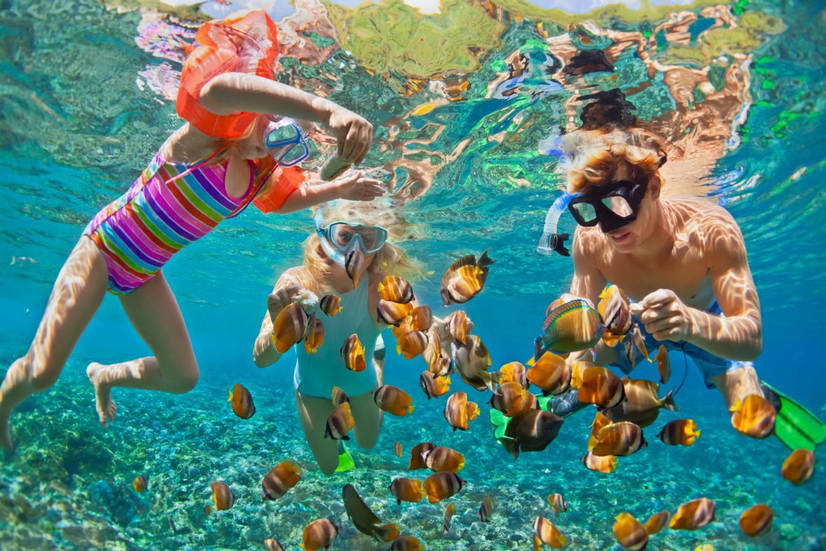 Snorkel en el arrecife de la casa
