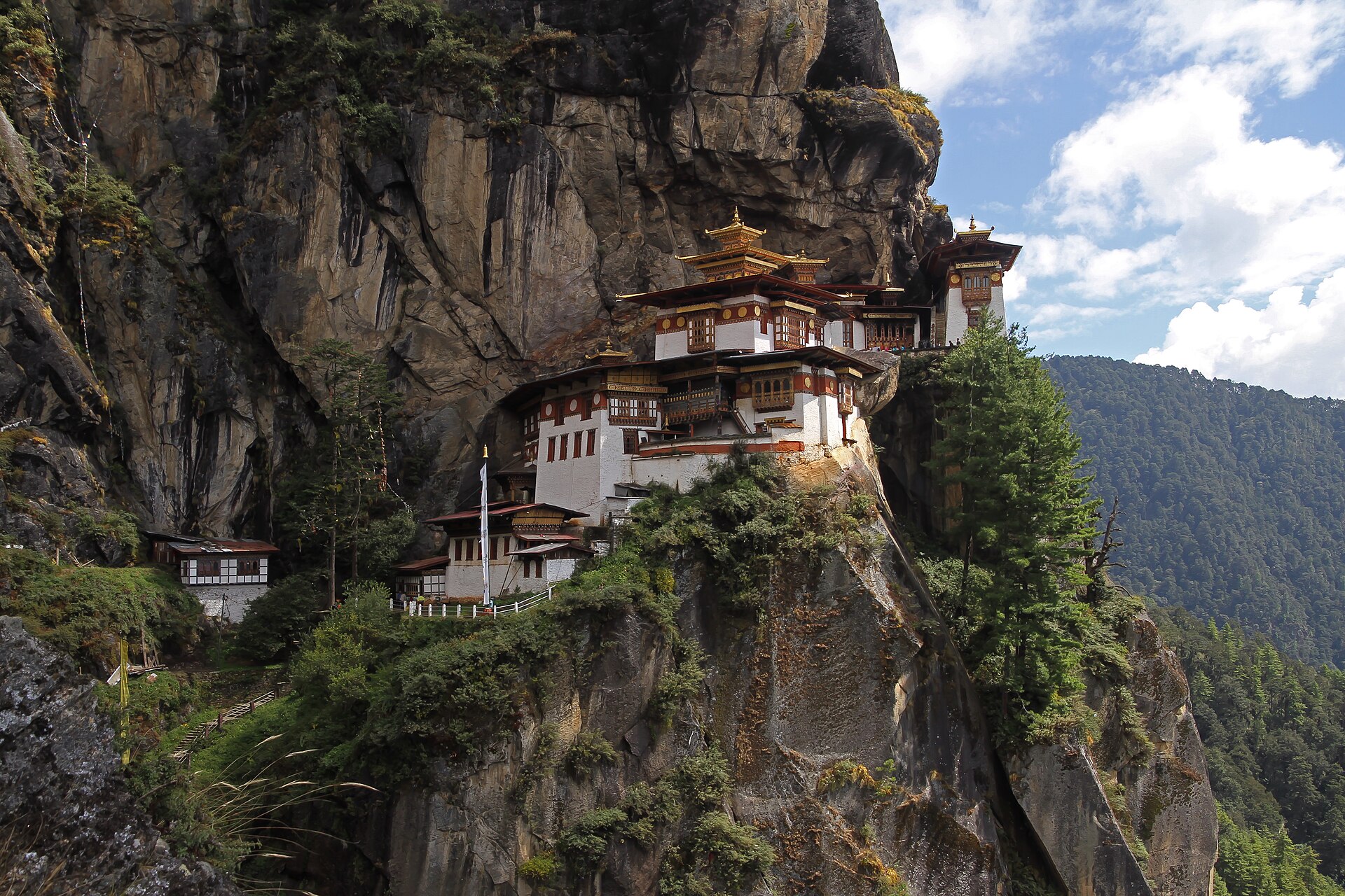 Combínalo con Bután