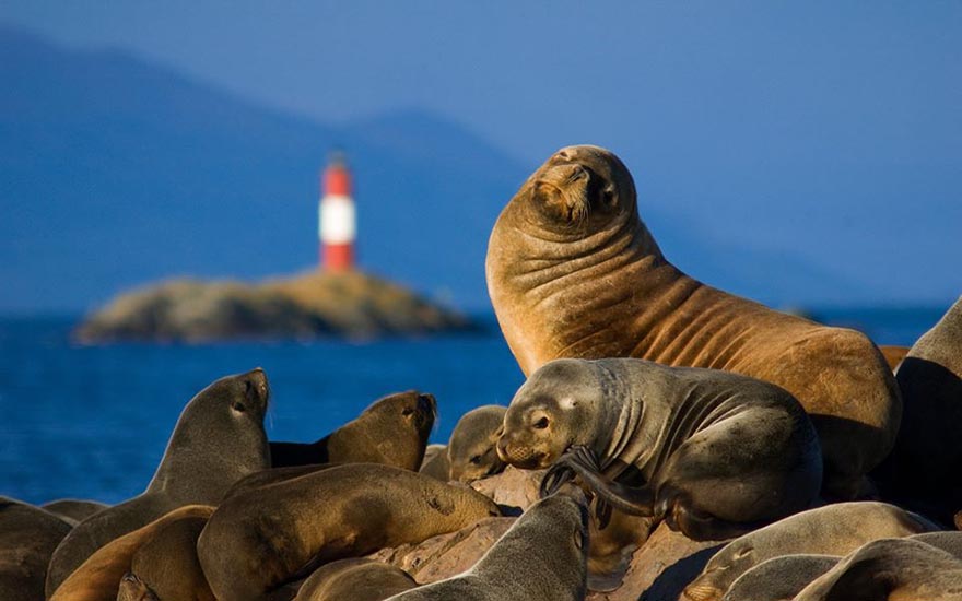 Navegación por el Canal Beagle
