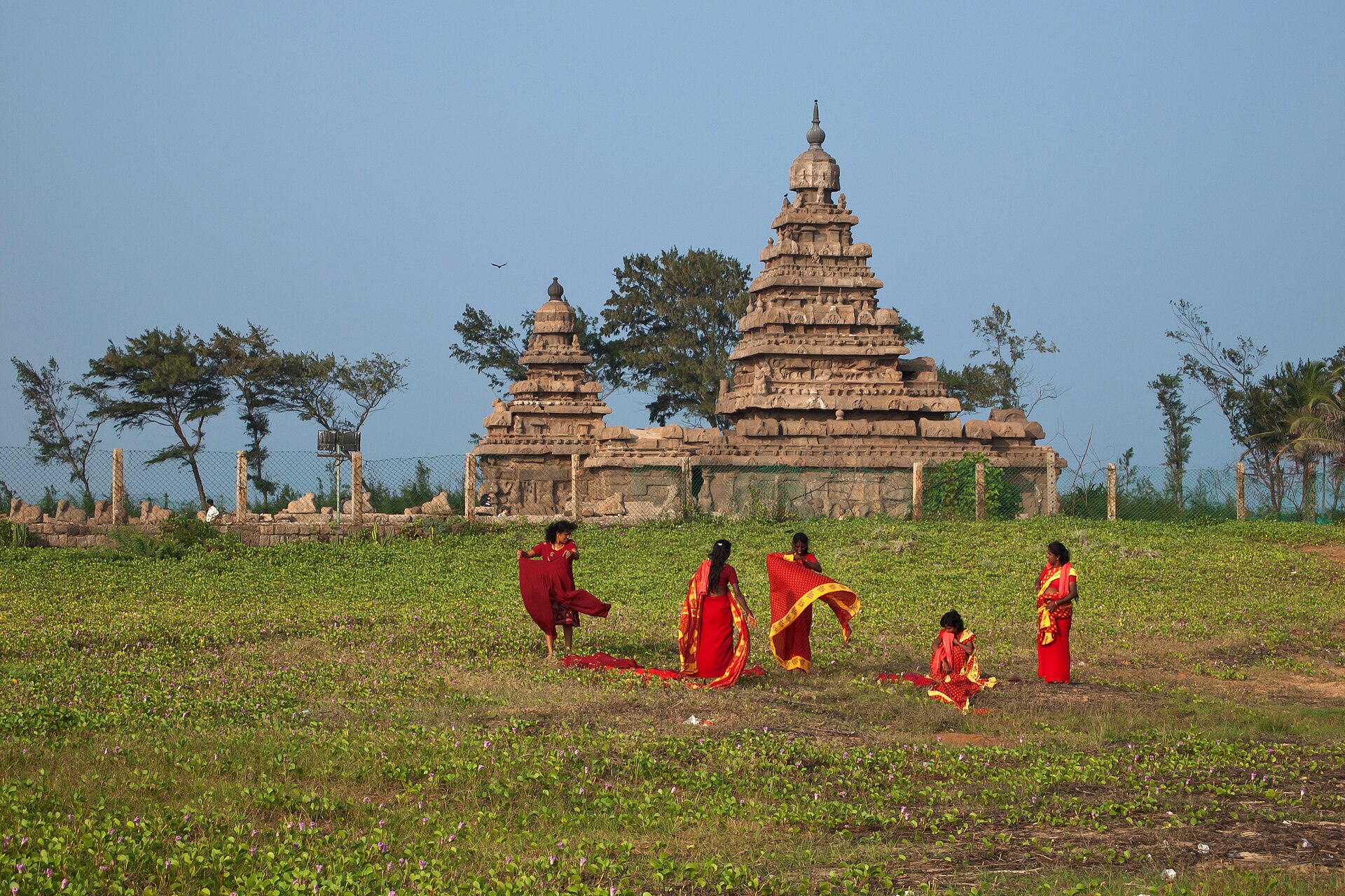 India Drávida