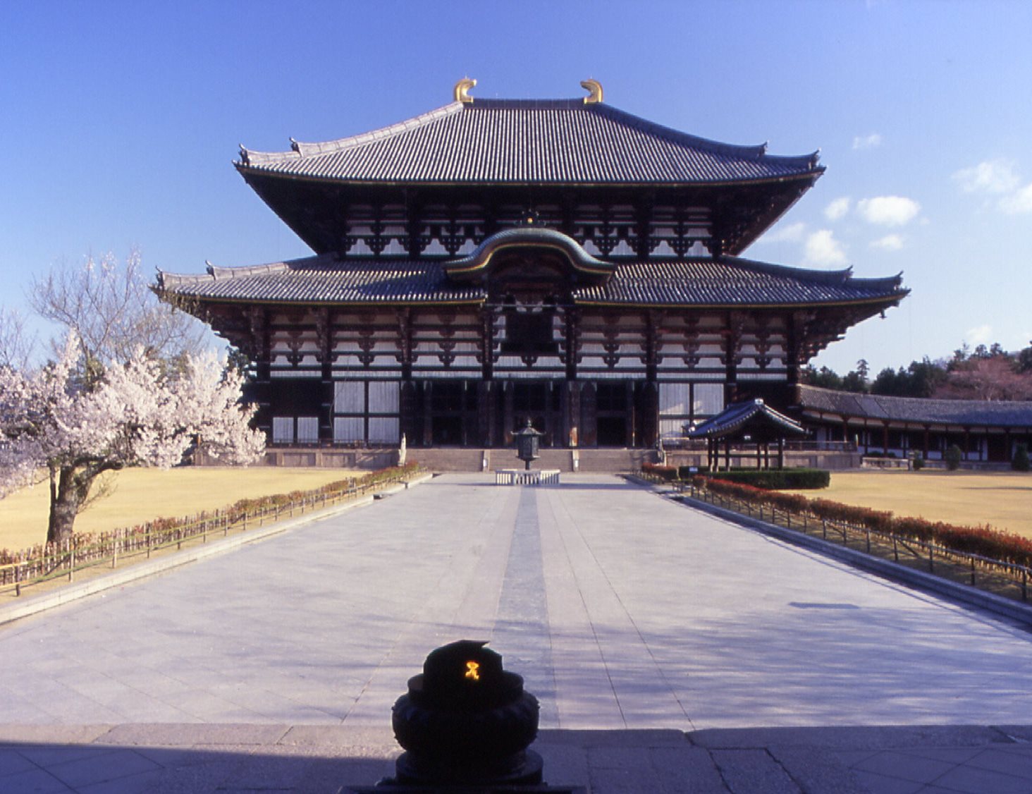 Excursión a Nara y el Gran Buda