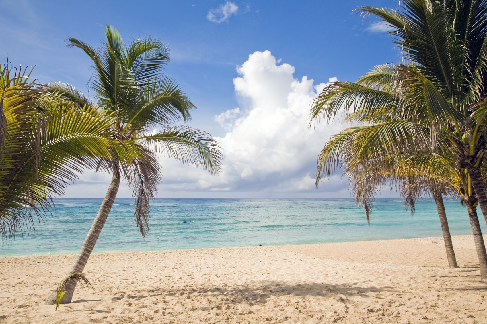 Nueva York y Riviera Maya a tu aire