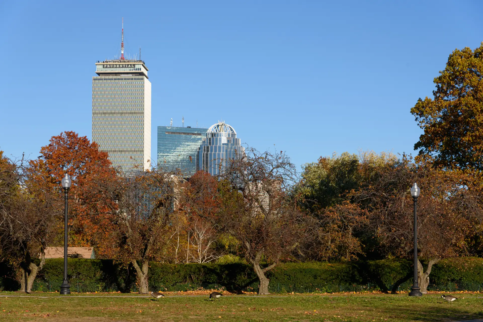 Nueva York y Boston
