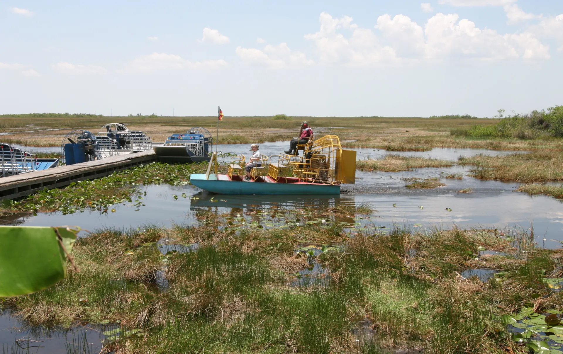 Everglades en aerodeslizador