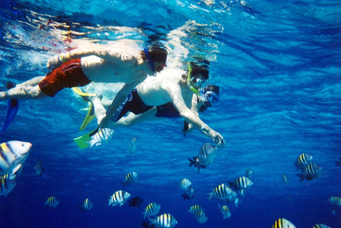 Snorkel en el Caribe