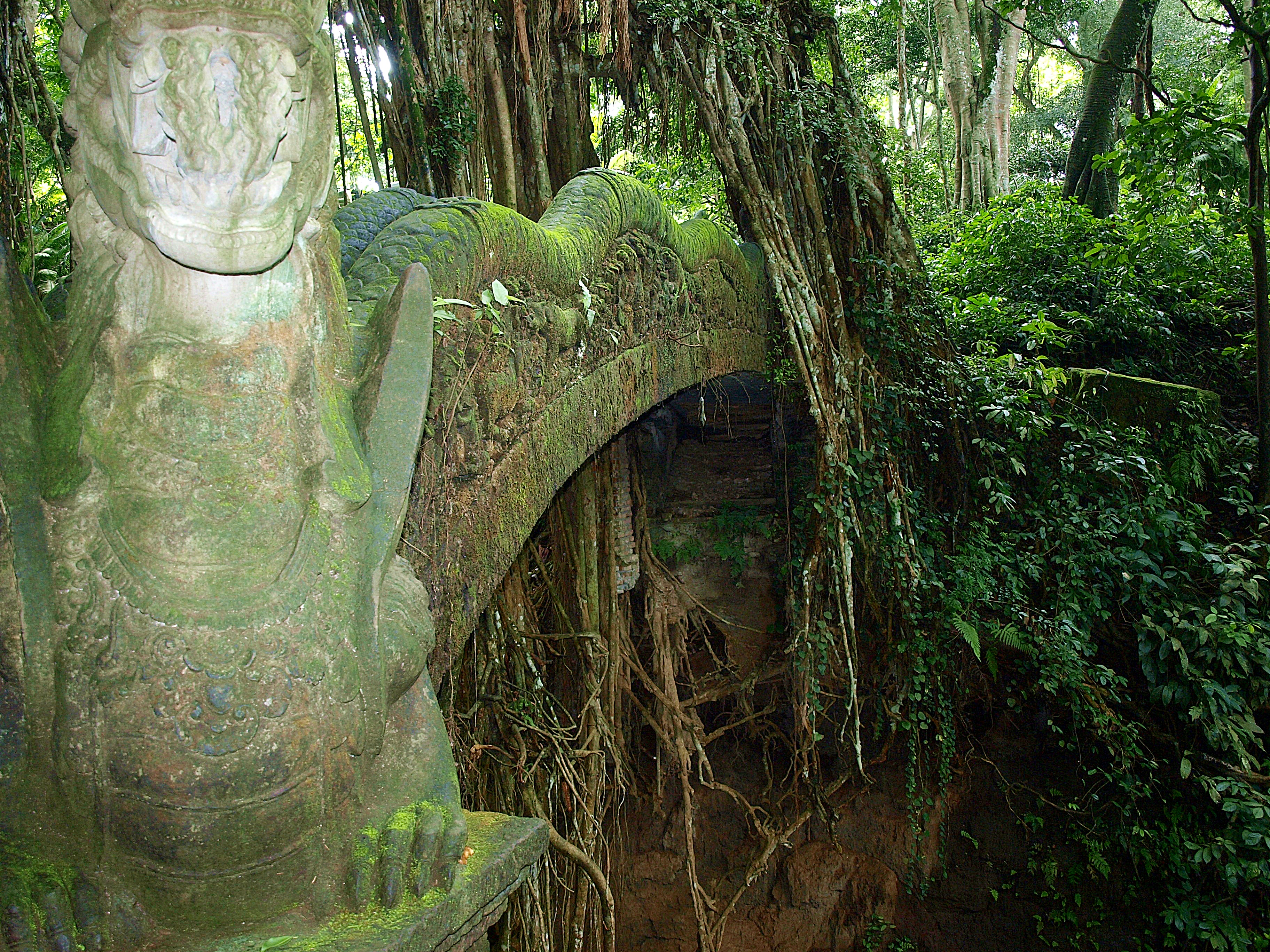 Bosque Sagrado de los Monos