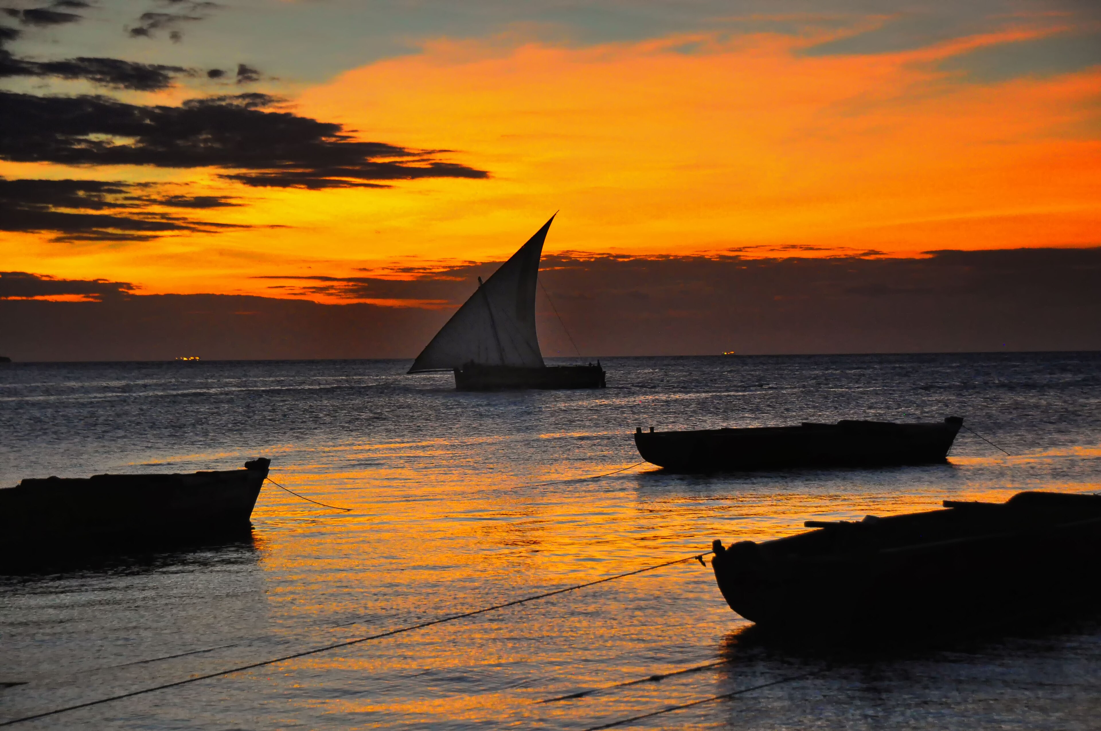 Dhow al atardecer y Mnemba