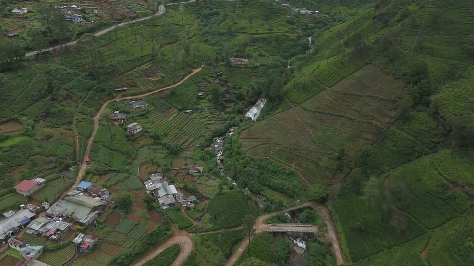 El país del té, desde el aire