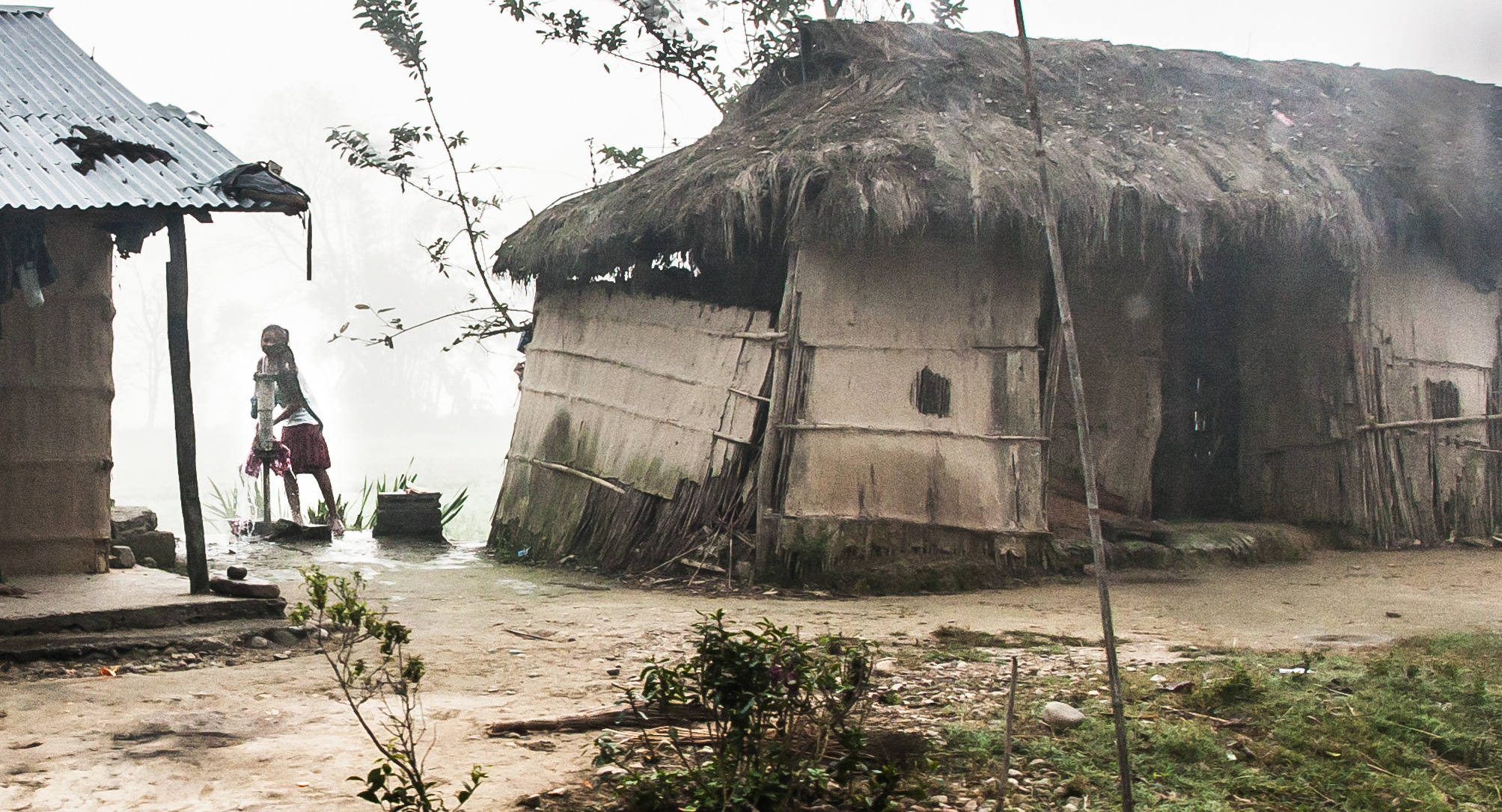 +2/3 noches en Chitwan